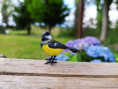 /album/fotogalerie-moje-outside-prace-/martinh-collection-outdoor-08-25-7-jpg/